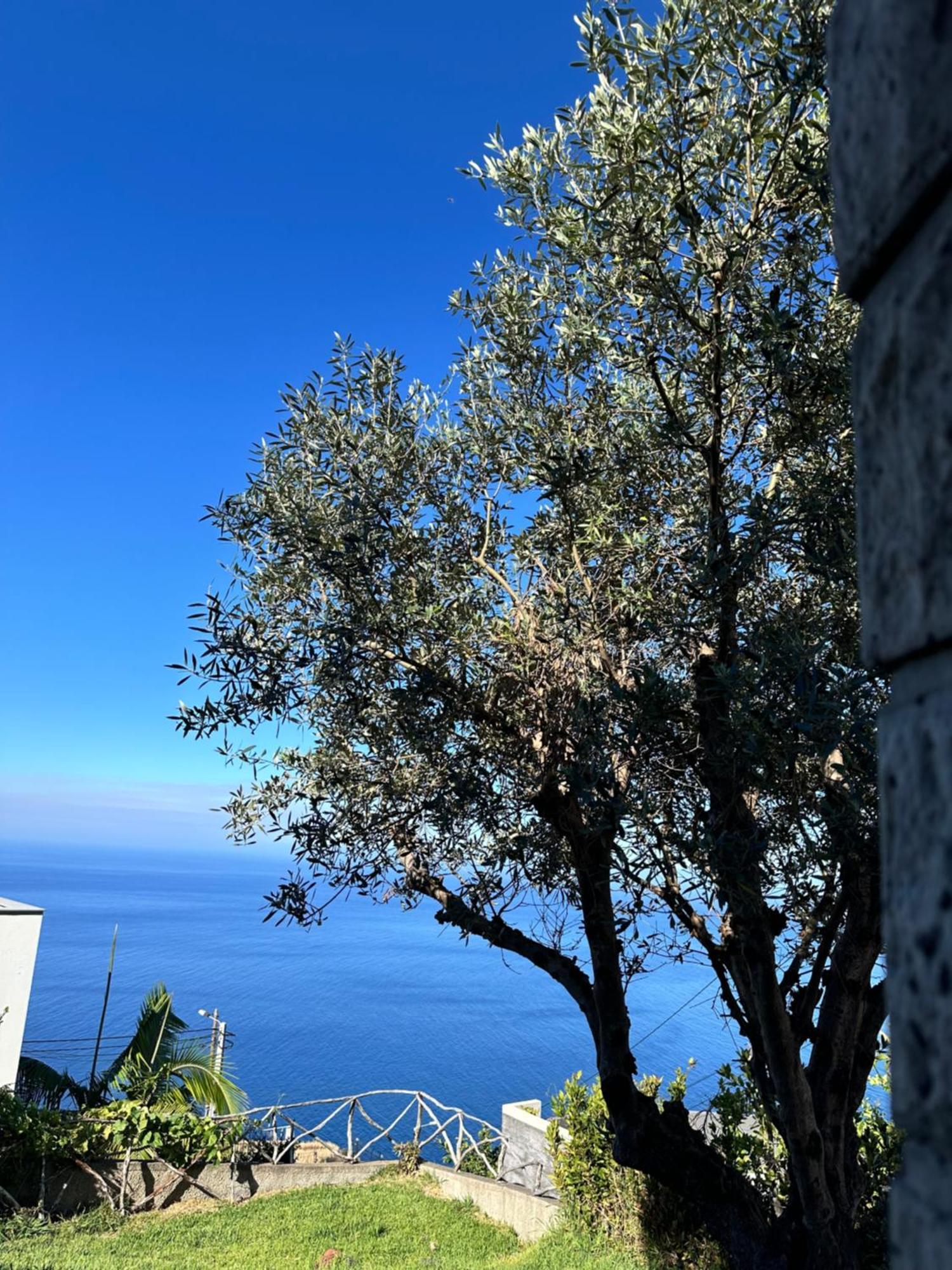 Cozy Sea View House Fajã da Ovelha Calheta (Madeira) Exterior foto